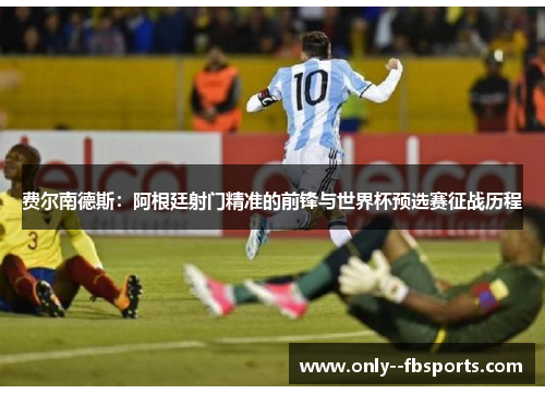 费尔南德斯：阿根廷射门精准的前锋与世界杯预选赛征战历程