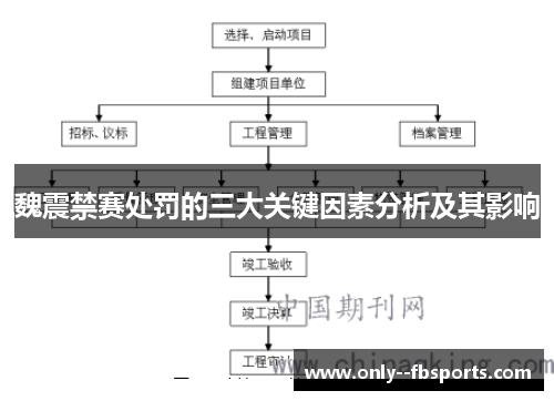 魏震禁赛处罚的三大关键因素分析及其影响
